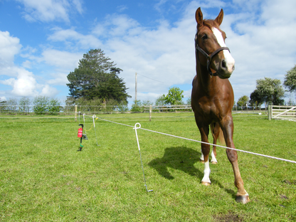 Speedrite - AN90 Battery Energizer - 0.12 Joule with Stand